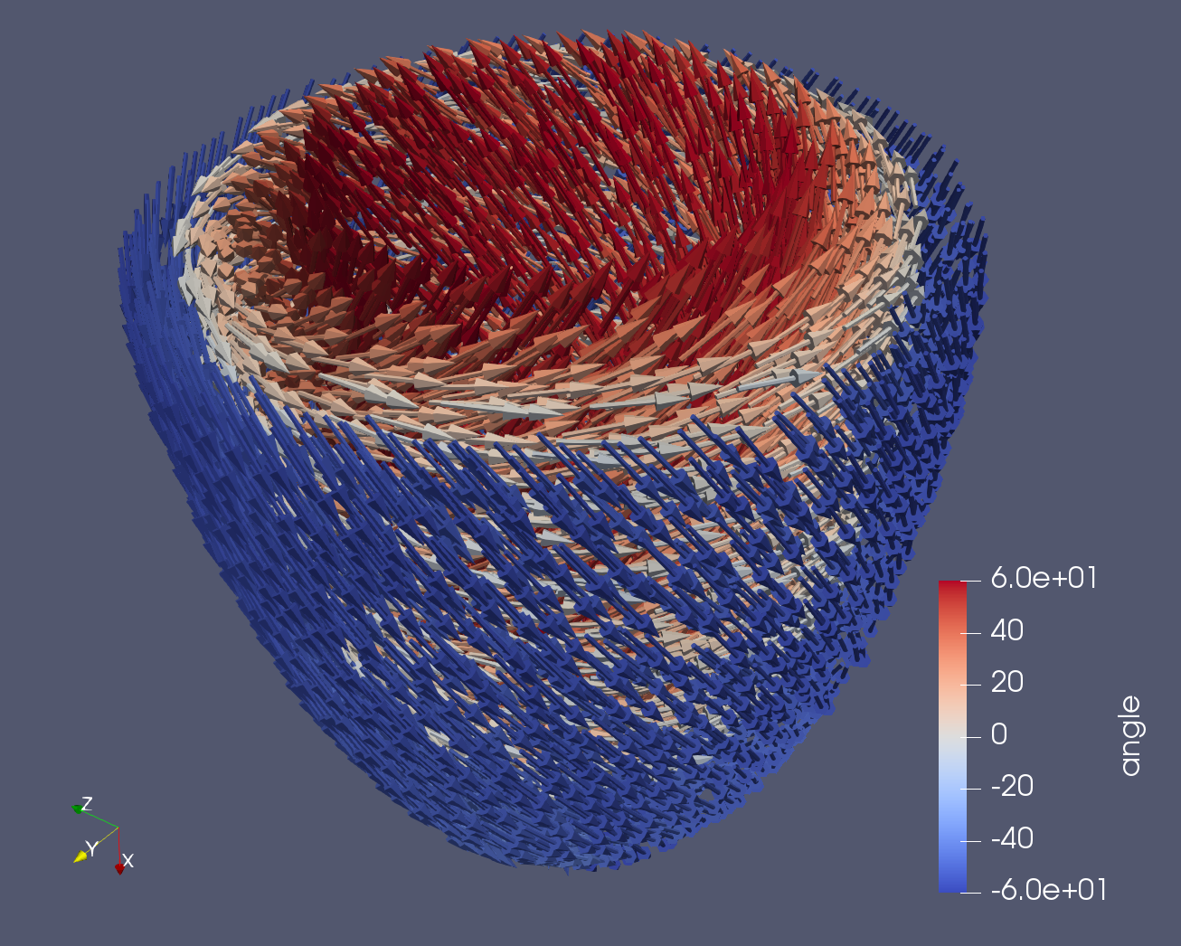 _images/lv_fiber.png